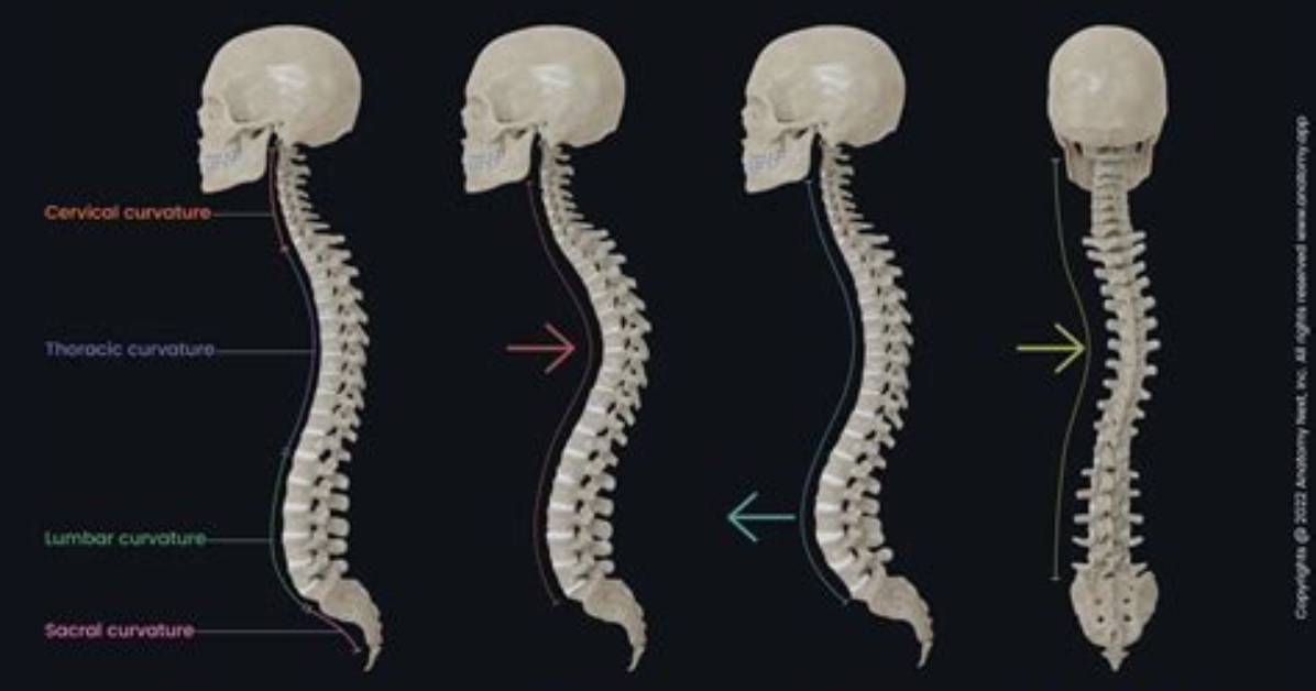 Is That Normal What the Back of Your Throat Should Actually Look Like in The