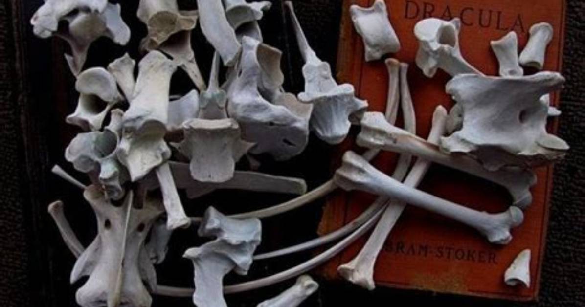 Is the Book of Bones Real Screenshots in Game Clues and Verified