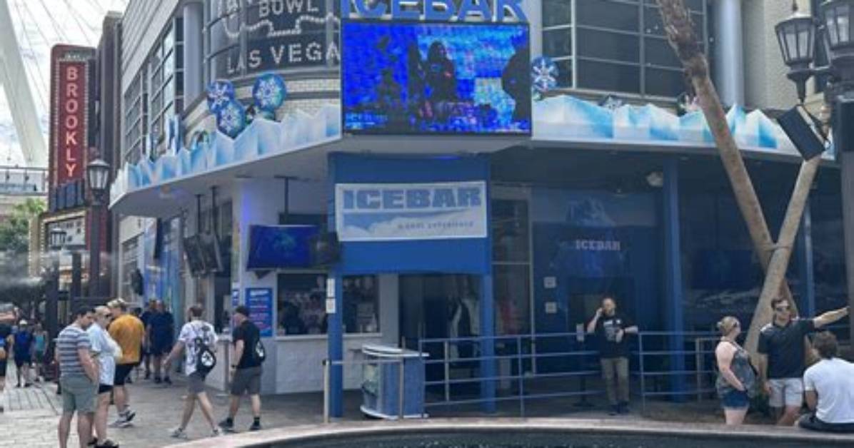 Is the Linq Icebar Worth It Honest Review Pricing and Hidden