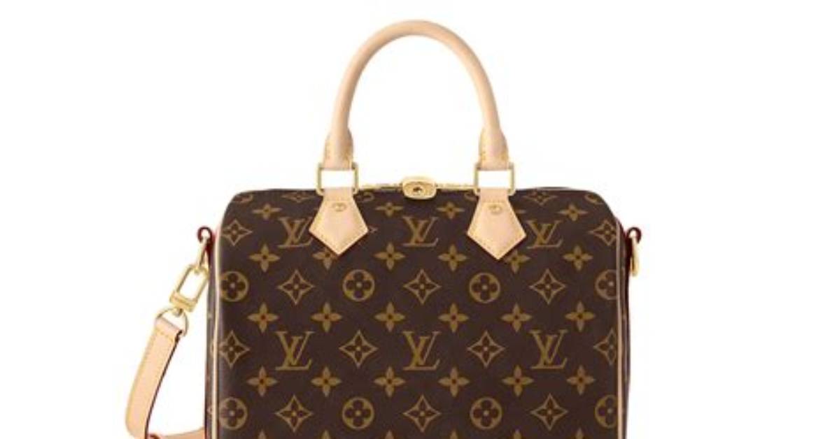 Is the Louis Vuitton Speedy 25 Still Worth It 2026 Resale