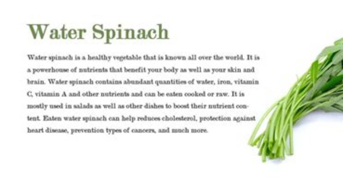 Is Water Spinach Illegal Fact Checking Usda Rules And
