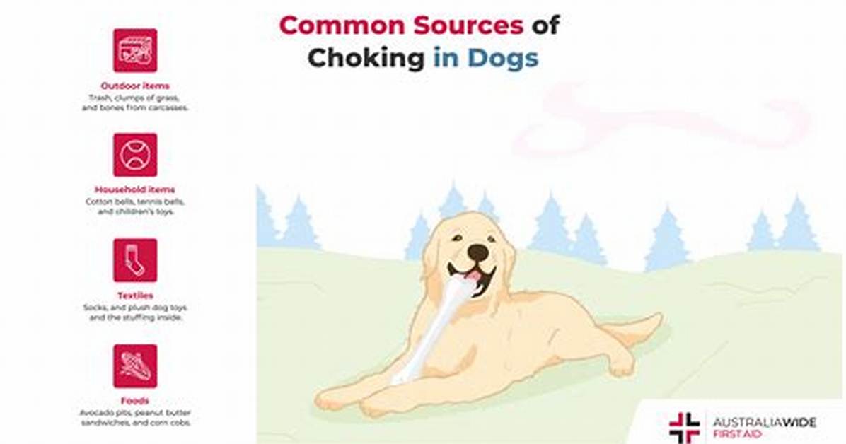 Is Your Dog Choking the Truth About the Terrifying Reverse