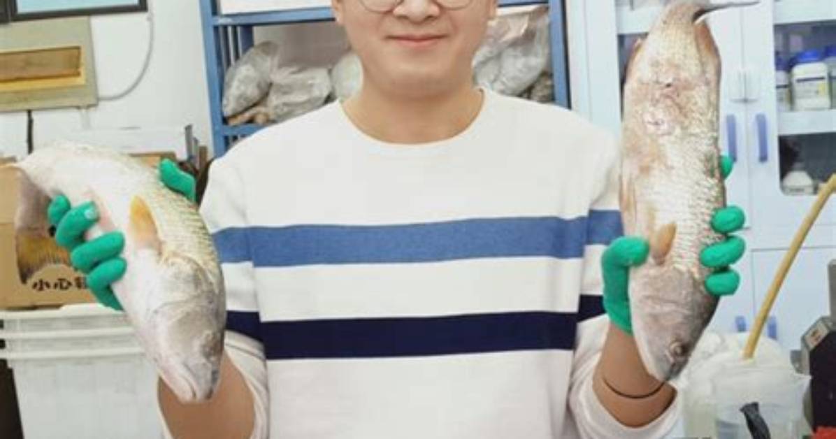 Jian Zheng Zhu Qian Zhuhafuraipan Mentsuyude Ranmiru Jian Danreshipi Ben Yin
