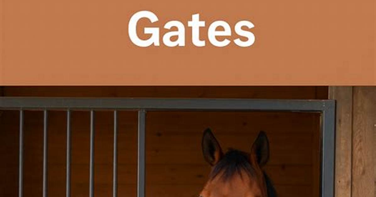 Keeping Horses Safe in the Stable Standards Boarder Rights and Emergency