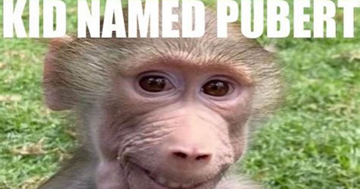 Kid Named Pubert Explained Meaning Origins and Top