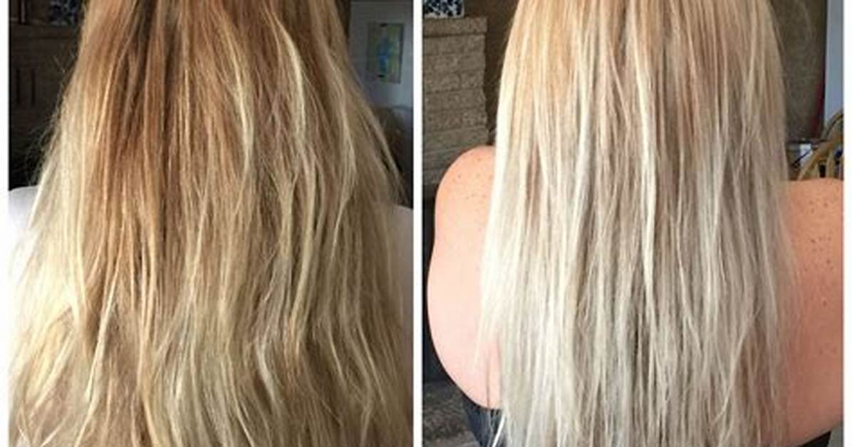Level 8 Blonde Before and After Real Results on Dark Bases Grays And