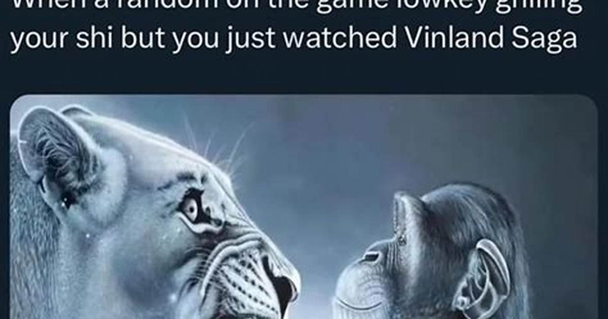 Lion Screaming at Monkey Explained Inside the Ragebait Meme And