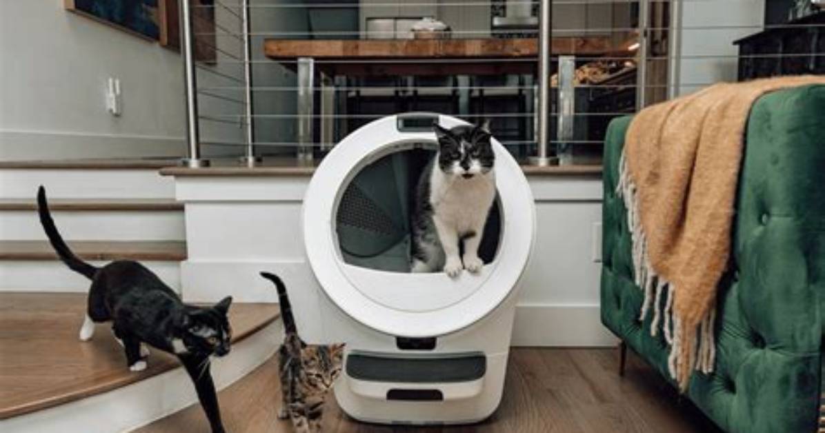 Litter Robot 5 Pro Real World Test Can Ai Really Automate