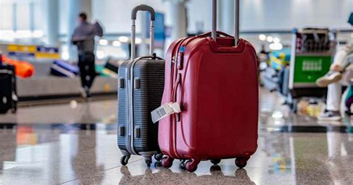 Luggage and Handcuffs Inside the Airport Sting That Trapped Mafia Boss