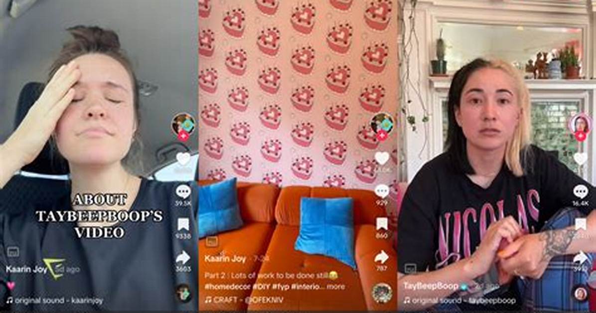 Mally Mouse Tiktok Drama Explained What Was Said in The