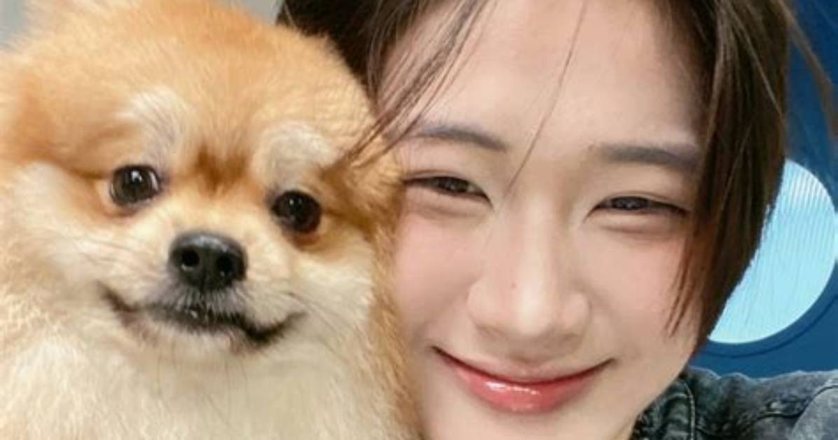 Maoga Ben Dangni Haokina Shibe Wurankingu Shiitsuki Ba Qunno Ren Qioyatsuwo Che Di Bi