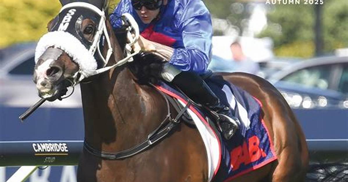 Meme or Thoroughbred News Unpacking the Peter the Horse