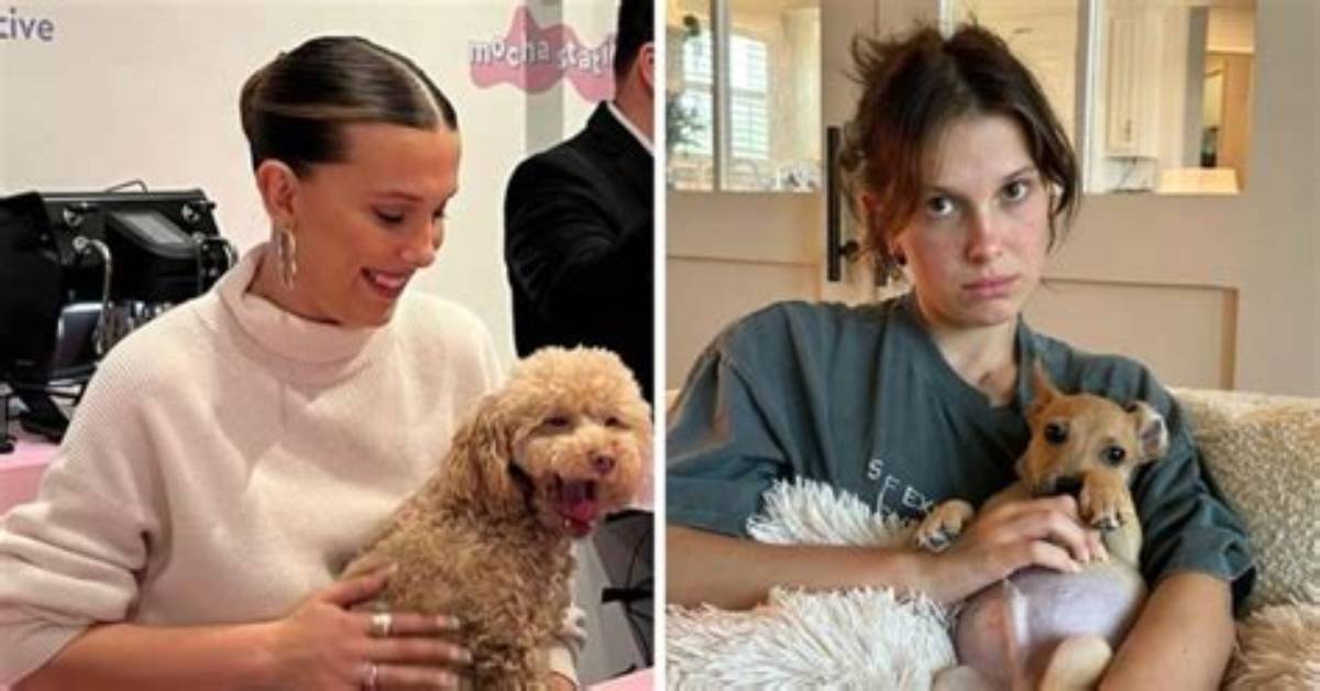 Millie Bobby Brown S Complete Pet Roster Breeds Names and Rescue
