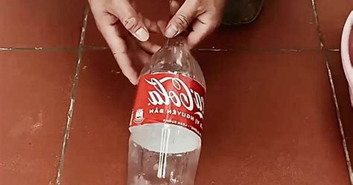 Mind Bending Illusions How Tiktok Body Painters Transform into Pop