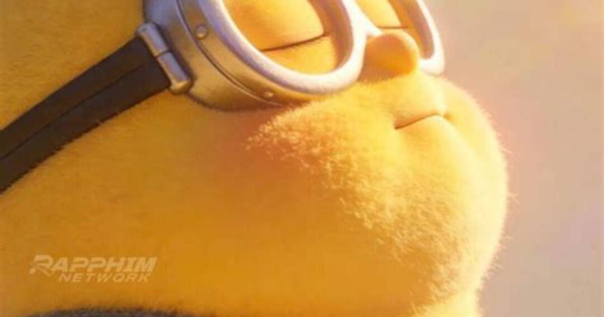 Minion the Dog Explained Viral Costco Toy or the 12 Year Missing Pet