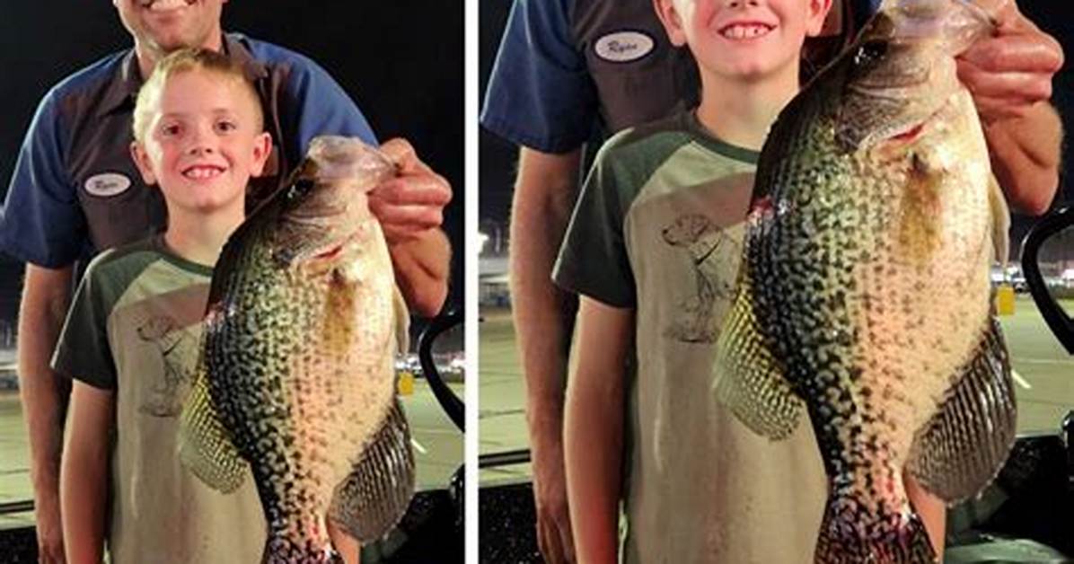 Minnesota Record Crappie Fact Check Official Dnr Certification Cedar Lake Details And