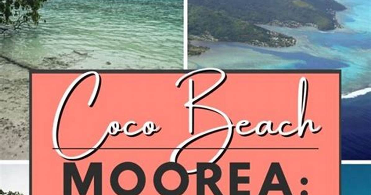 Moorea Beach Club Complete Visitor Guide Prices Cabanas And