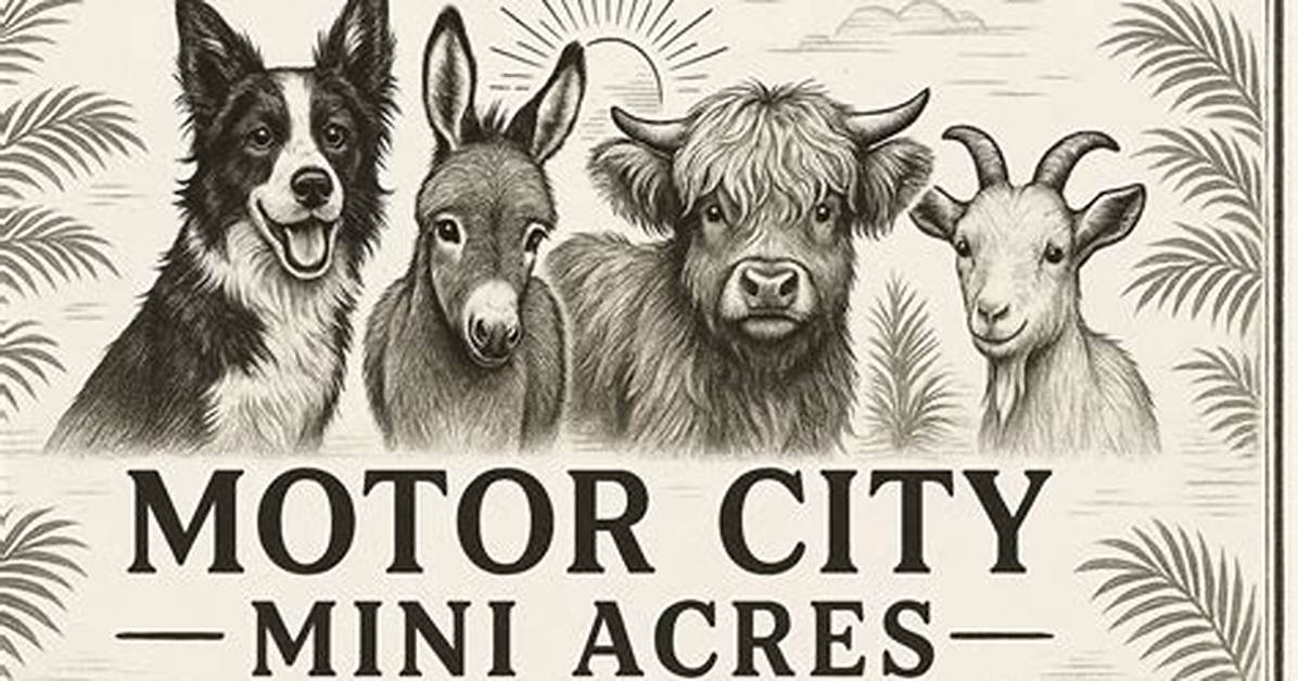 Motor City Mini Acres Fact Check Location Ownership And