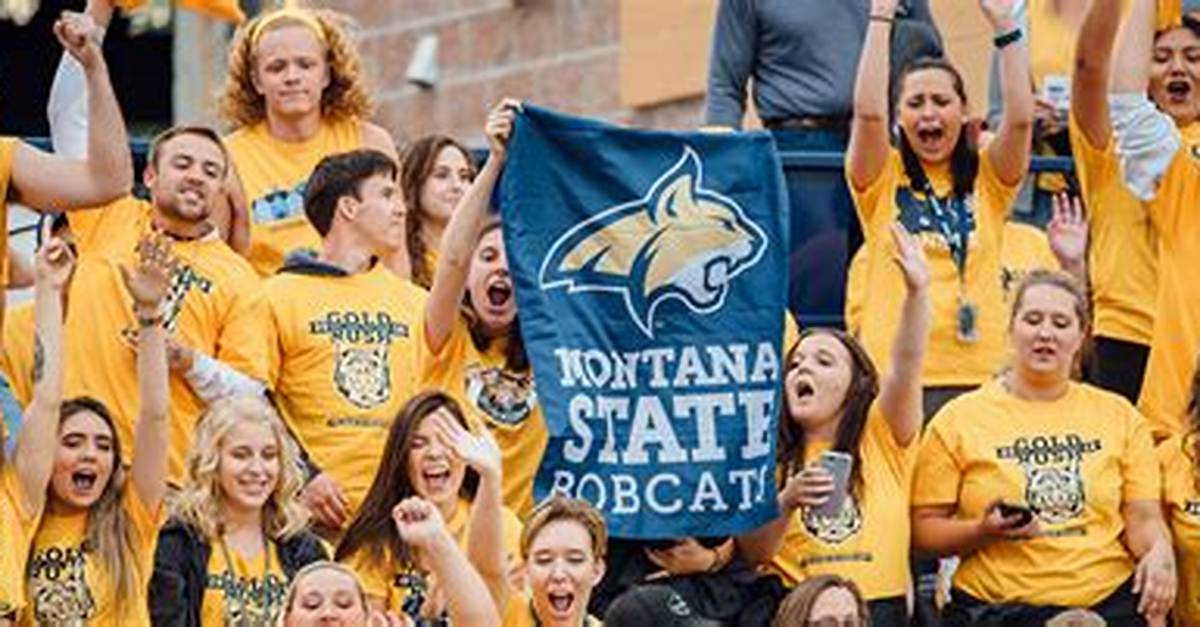 Msu Student Tickets Shakeup Major Policy Changes and What You Need To