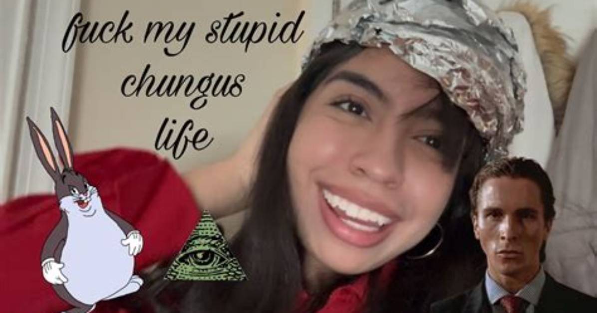 My Stupid Chungus Life Slang Guide Meaning Pronunciation and How to Use The