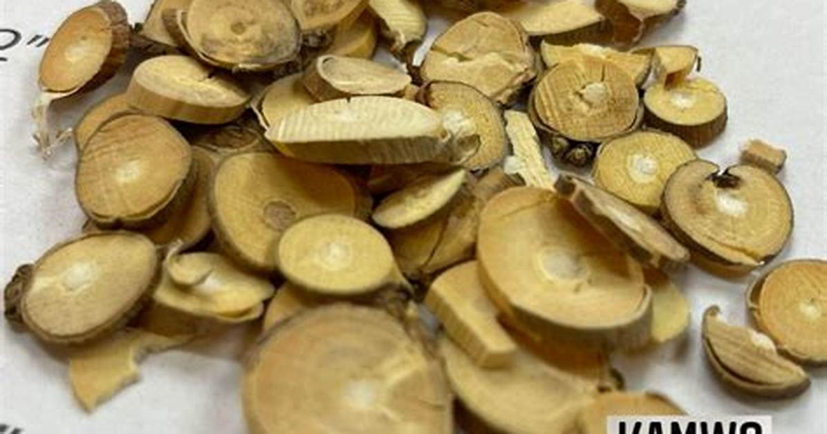 Nanchatte Zhi Fuhanaze Dabumu Kosupurewo Chaoeta Ling Heno Xin Ding Fanto Yuan Su Wu