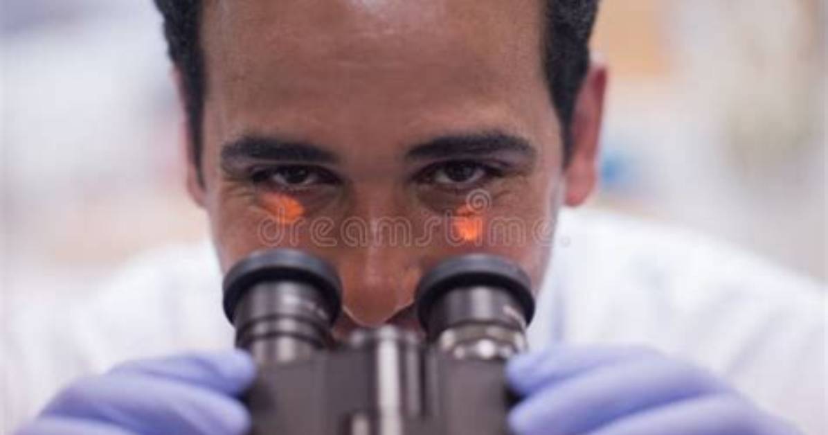 Nani Daniel G Under the Microscope Examining the Clips And