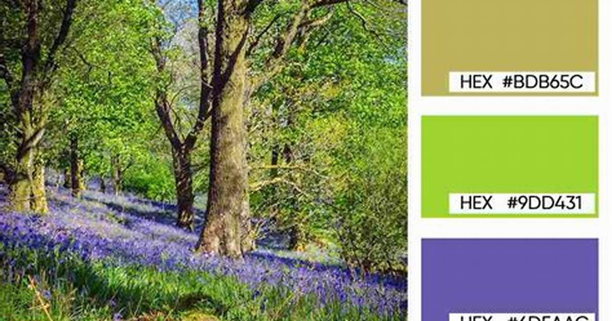 Nature S Hidden Palette How Human Eyes Turn Light Waves into Yellow And