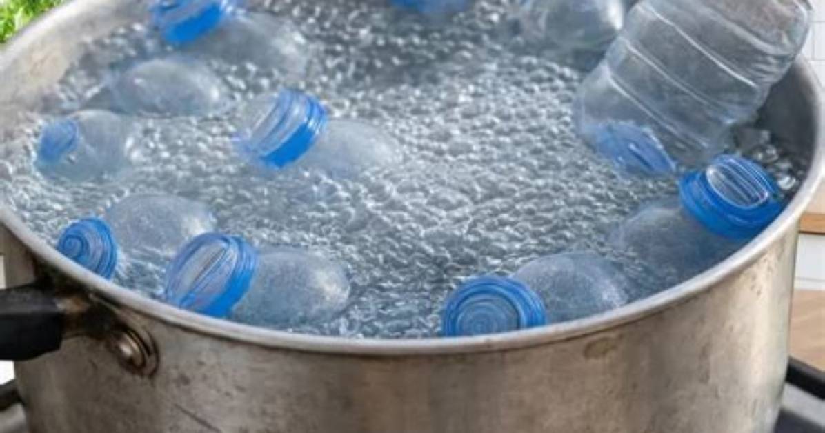 Never Boil Again the Hidden Water Filter Setup in Abiotic Factor That