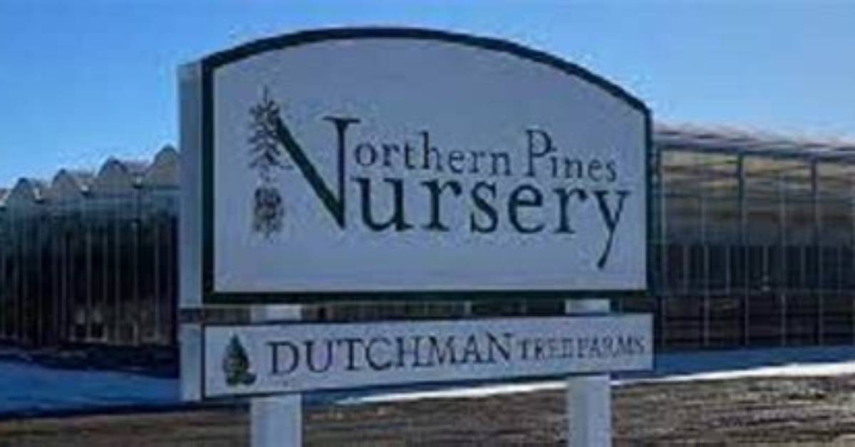 Northern Pines Nursery Modern Forestry the Evolution of Sustainable
