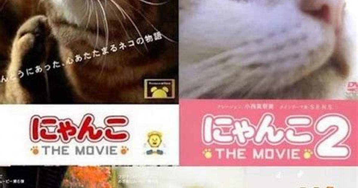 Nyanko Da Zhan Zhengnyanmano Qiangsano Mi Mitoha Ben Neng Jie Fangno You Xian Dutoosusume Yu Chengwo Che Di Jie