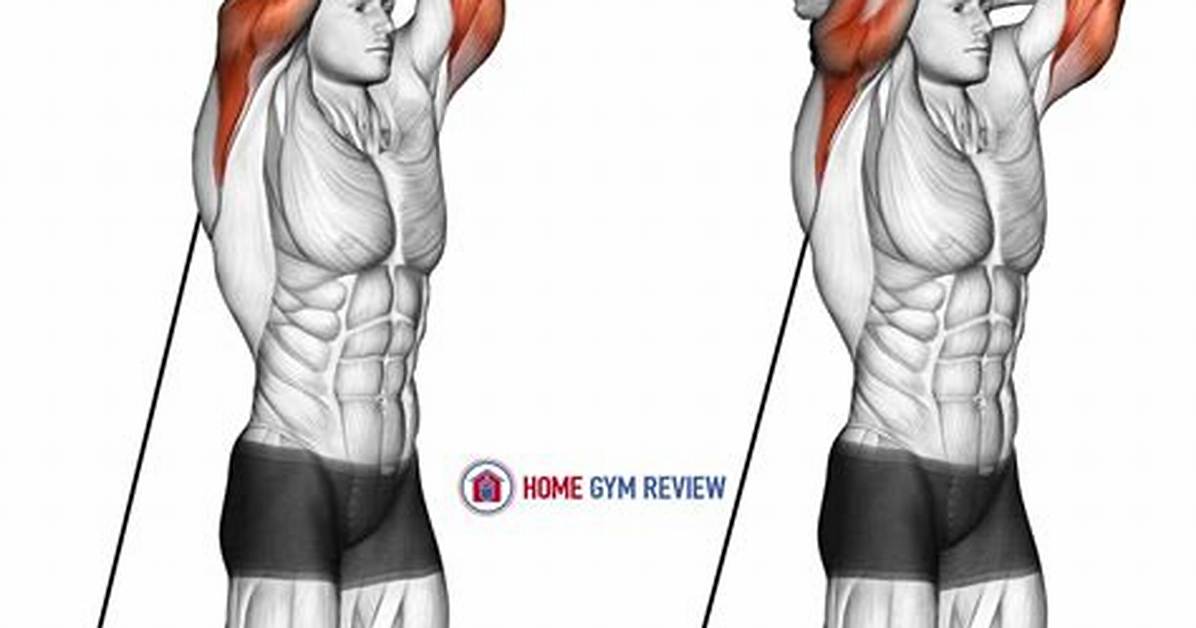 Overhead Rope Extension Anatomy Breakdown How It Builds Massive