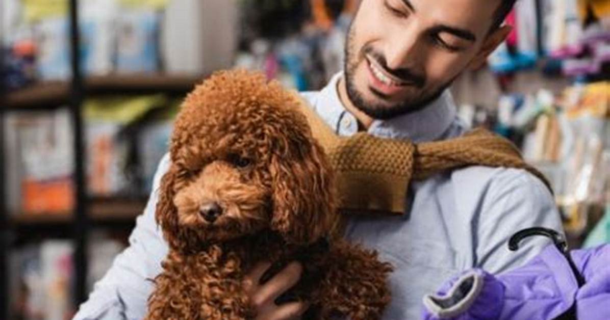 Pet Retailers Face Rising Pressure the Movement to Reform Petsmart Bird And