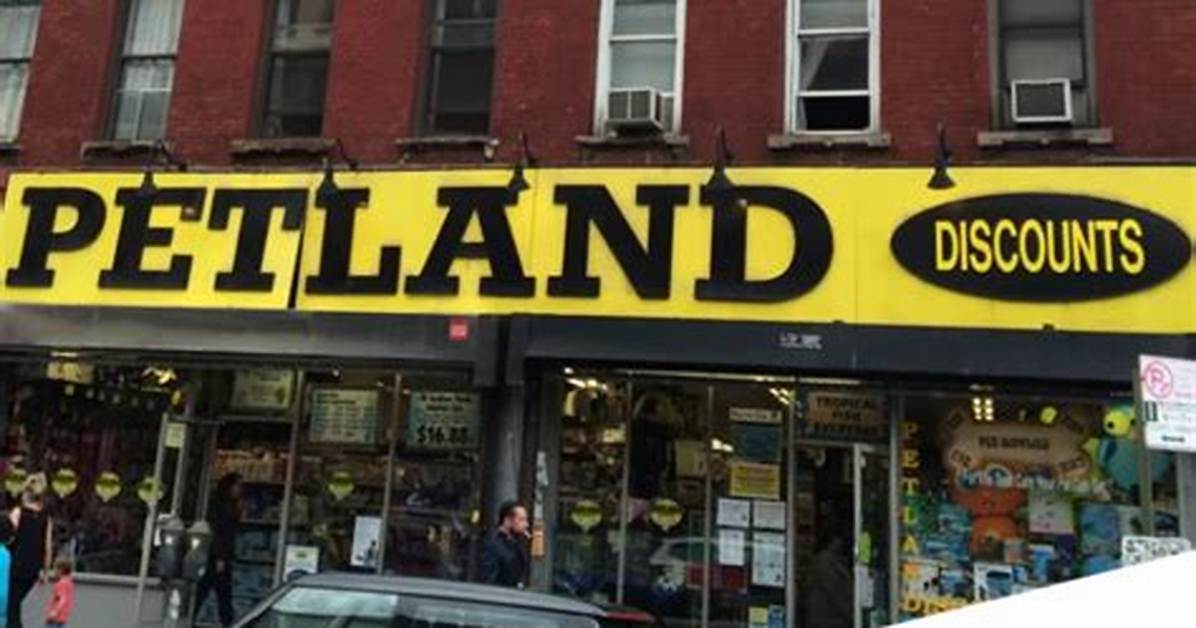 Petland Lending Controversies Key Lawsuits Cease and Desists And