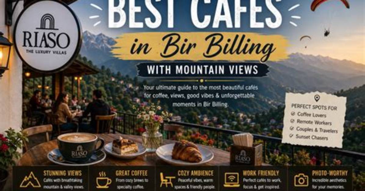 Phoenix Mountain Coffee Guide Best Cafes Scenic Views And