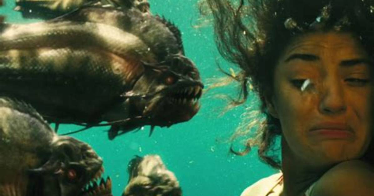 Piranha 3D Streaming Resurgence Ashlynn Brooke S Career Arc from 2010 To