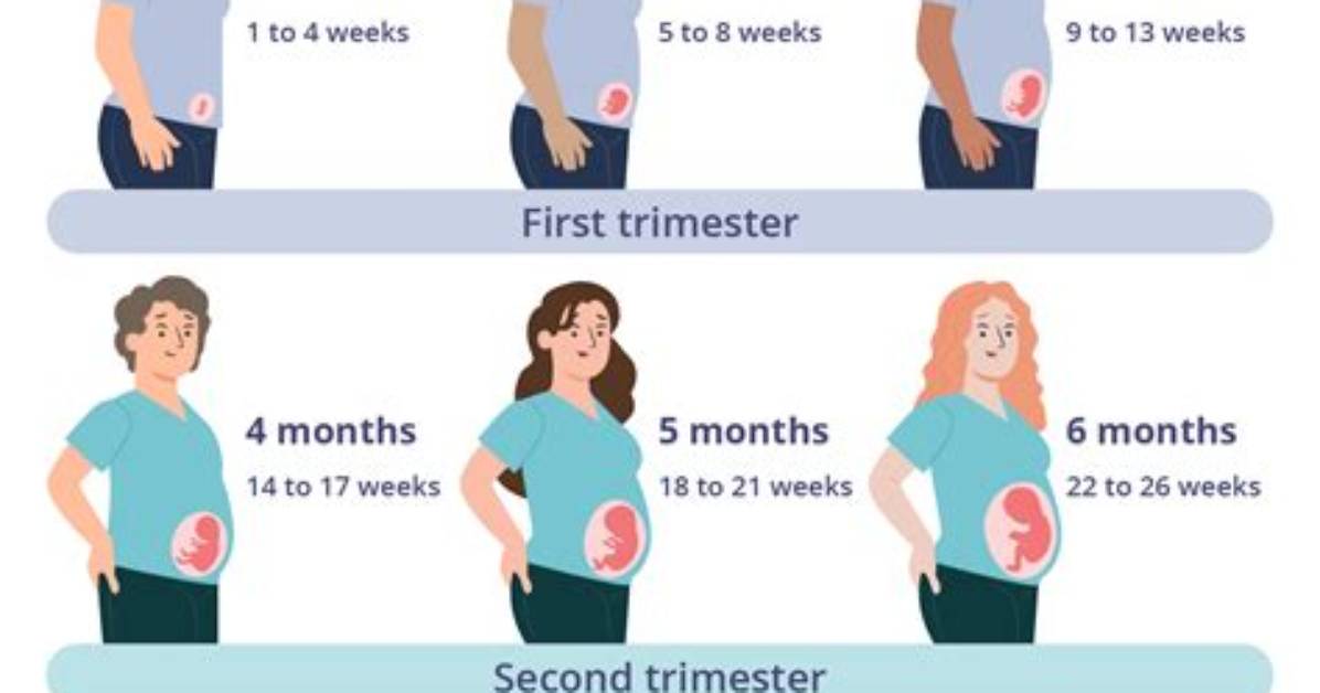 Pregnancy Trimester Guide When It S Officially Safe to Use Ammonia Free