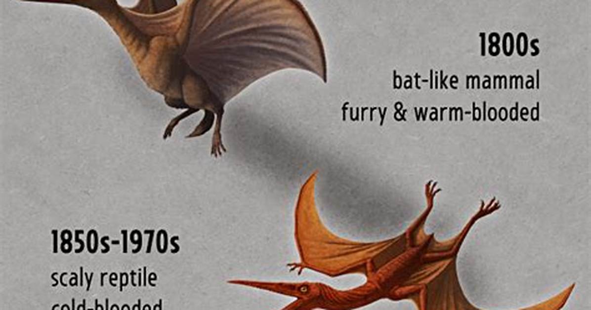 Pteranodon vs Pterodactyl the Definitive Guide to Flying