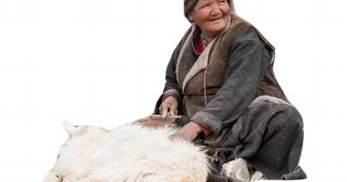 Rabbit or Traditional Goat Untangling the True Recipe Behind Birrieria El