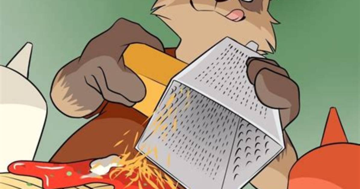 Raccoon Cheese Grater Explained Origins Internet Backlash and Fan