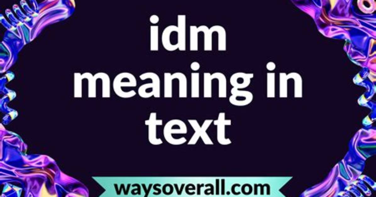 Real Chat Examples What Idm Means in Text and Exactly How To