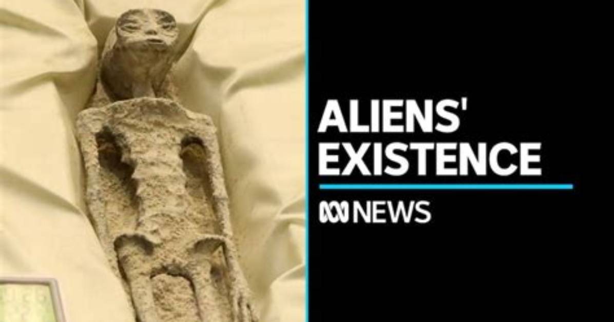 Real Life Alien Discovered Inside the Nightmare Wasp That Pierces Hosts to Lay