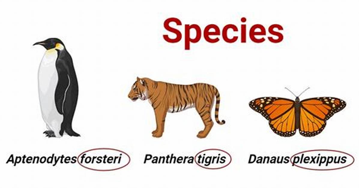 Same Species Vastly Different Genes Science Explains Why Cow Breeds