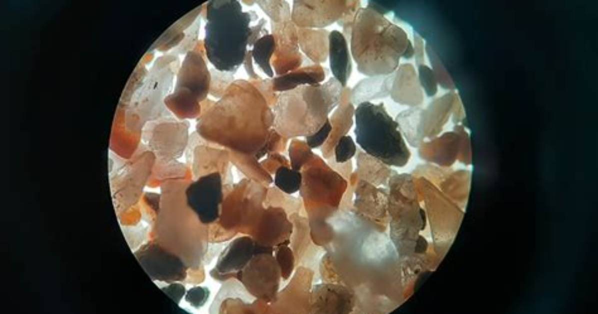 Sand Fog Jasmine Under the Microscope Burn Time Throw and Real