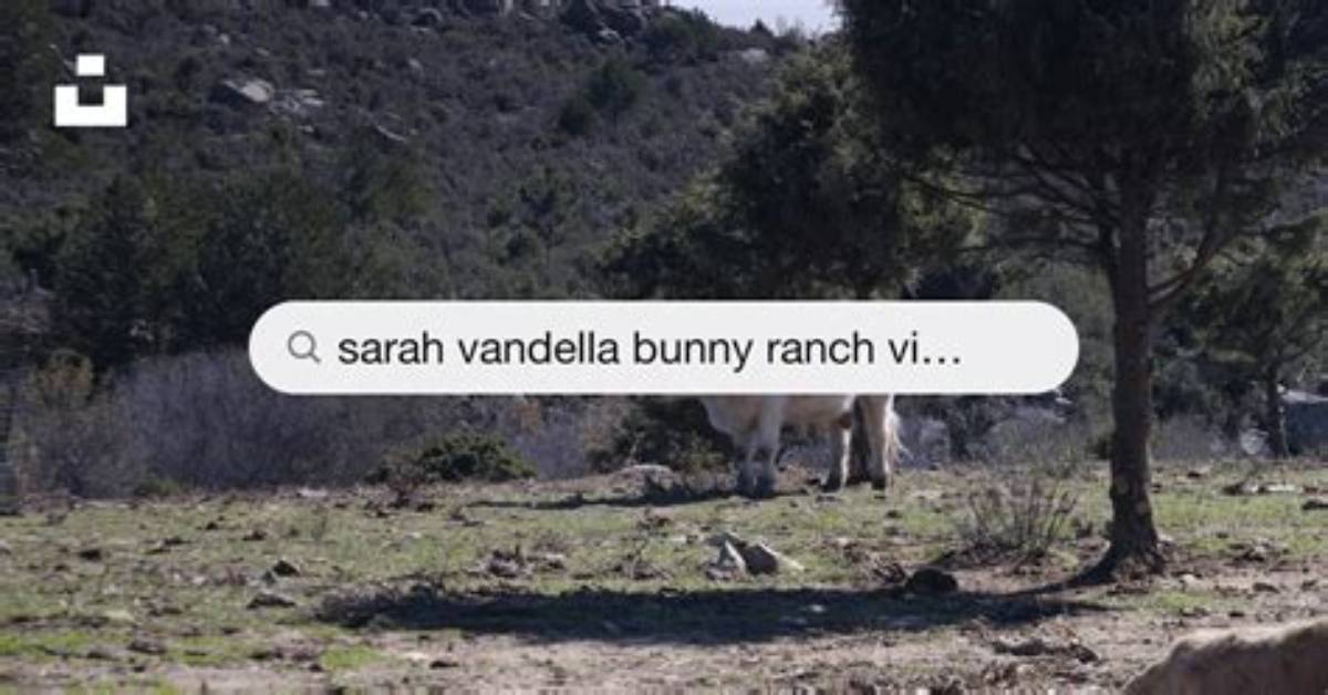 Sarah Vandella at Mustang Ranch Official Booking Proof Lineup Status And
