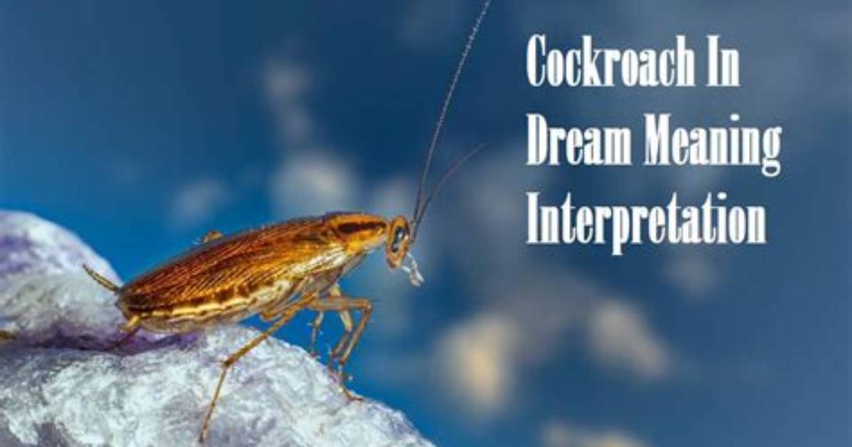 Science Explains Cockroach Dreams Inside the Mind S