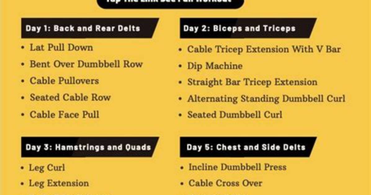 Scotty S Workout Plan Examined Step by Step Training Breakdown And