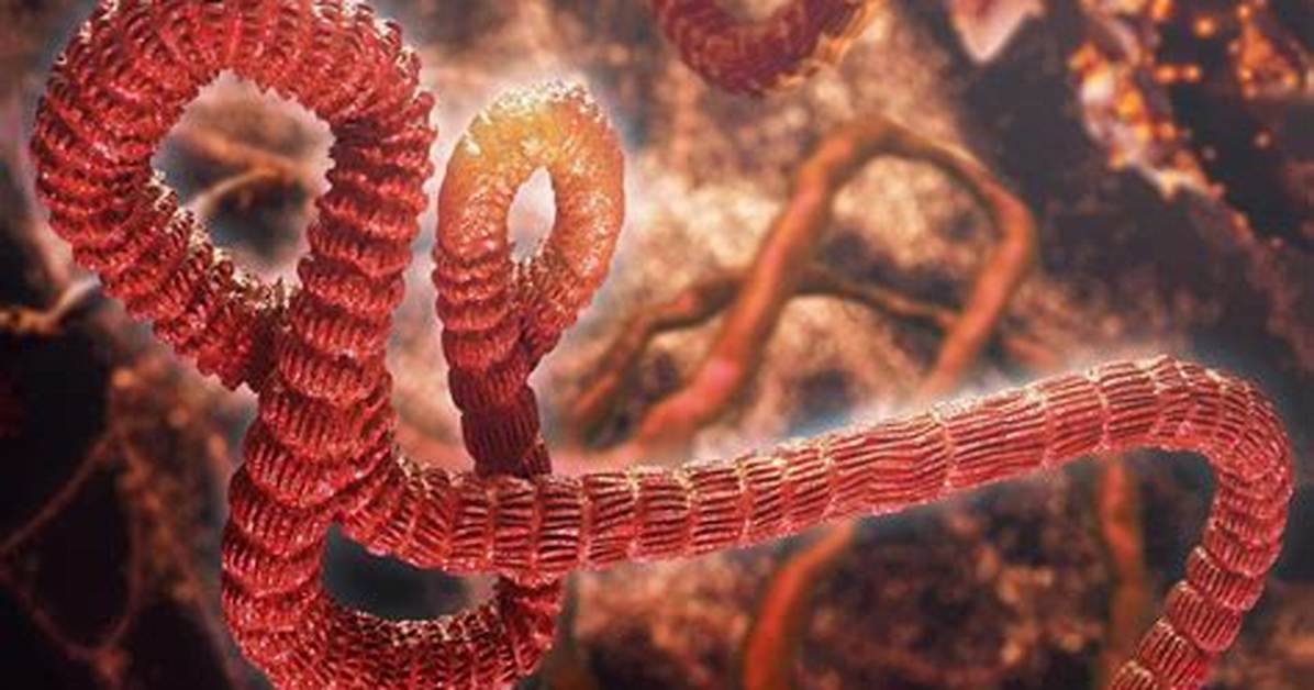 Silent Spread How Health Officials Traced Outbreaks Months Before