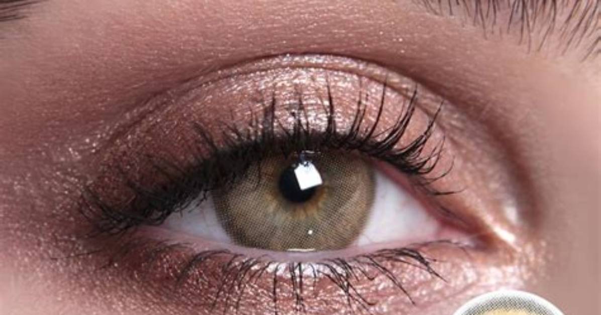 Sl29 Brown Yearly Before and After High Definition Wear