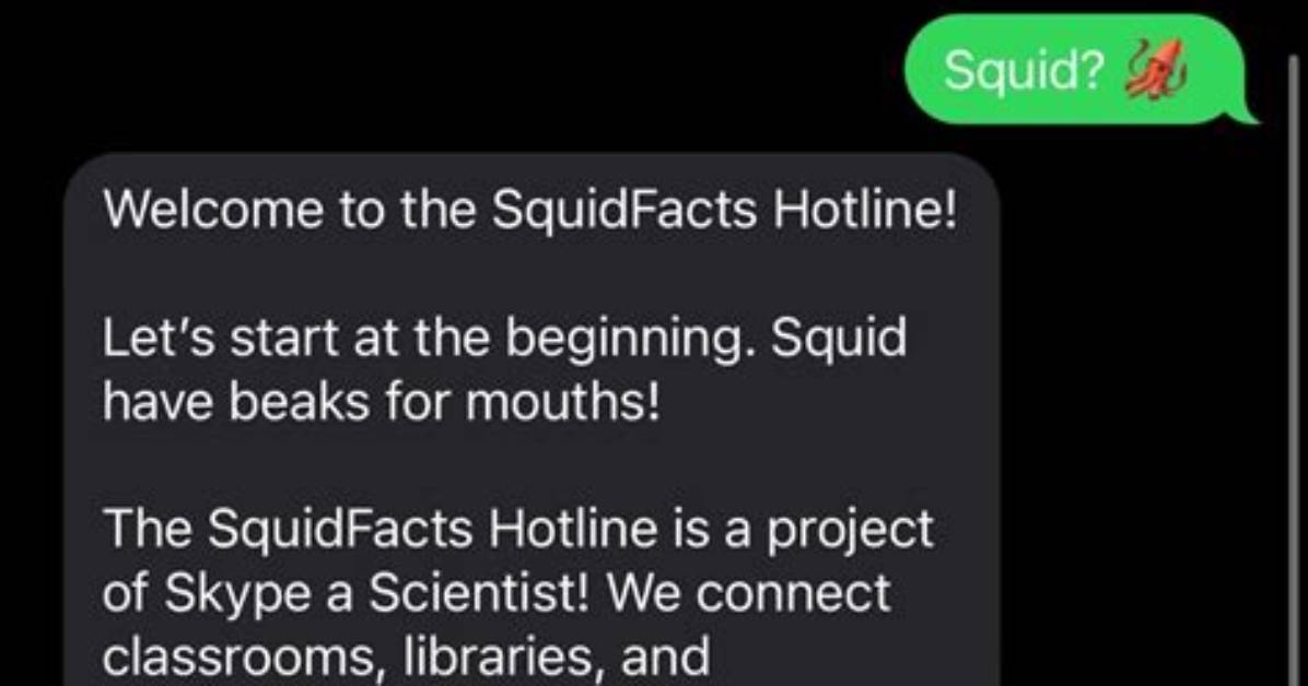 Stop Hunting Squids the Hidden Shortcut to Infinite Black Dye In