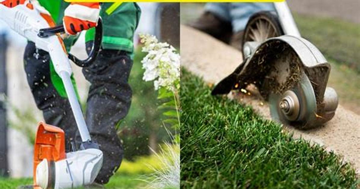 String Trimmer vs Dedicated Edger Side by Side Trench